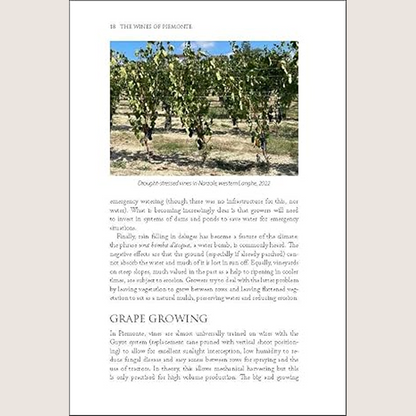 The Wines of Piemonte