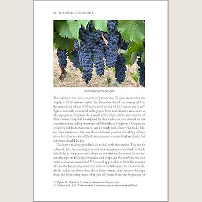 The Wines of Piemonte