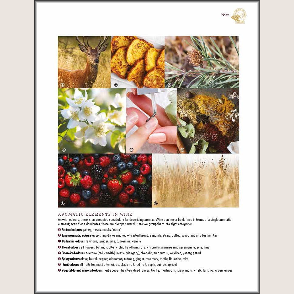 Steven Spurrier's Académie du Vin Wine Course: The Art of Learning by Tasting