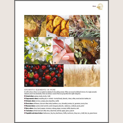 Steven Spurrier's Académie du Vin Wine Course: The Art of Learning by Tasting