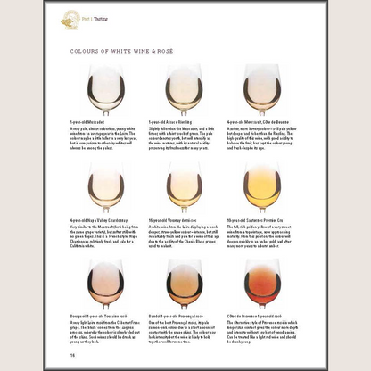 Steven Spurrier's Académie du Vin Wine Course: The Art of Learning by Tasting