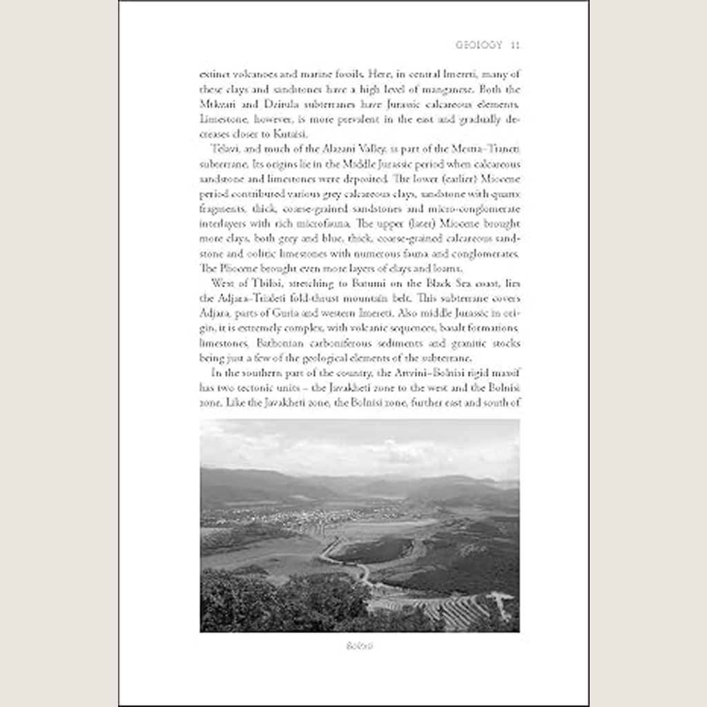 The Wines of Georgia
