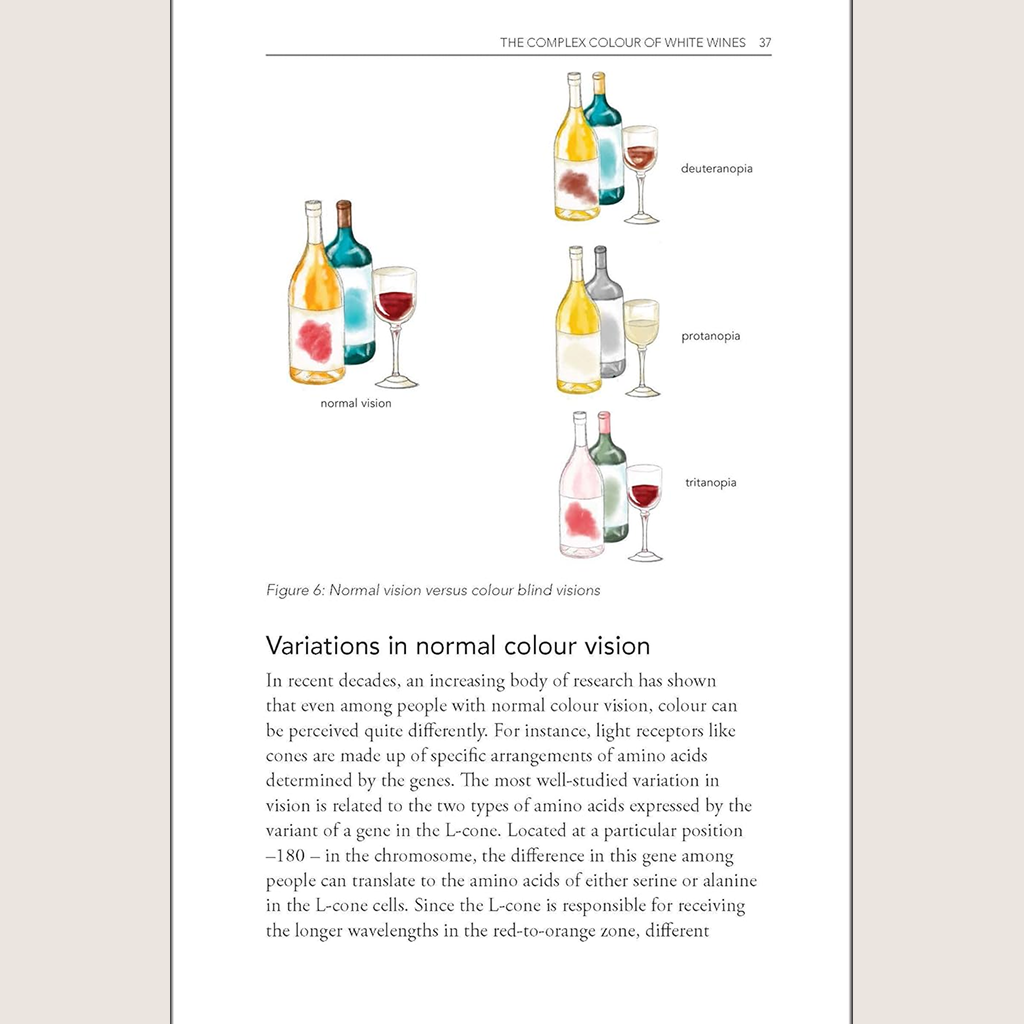Behind the Glass: The Chemical and Sensorial Terroir of Wine Tasting