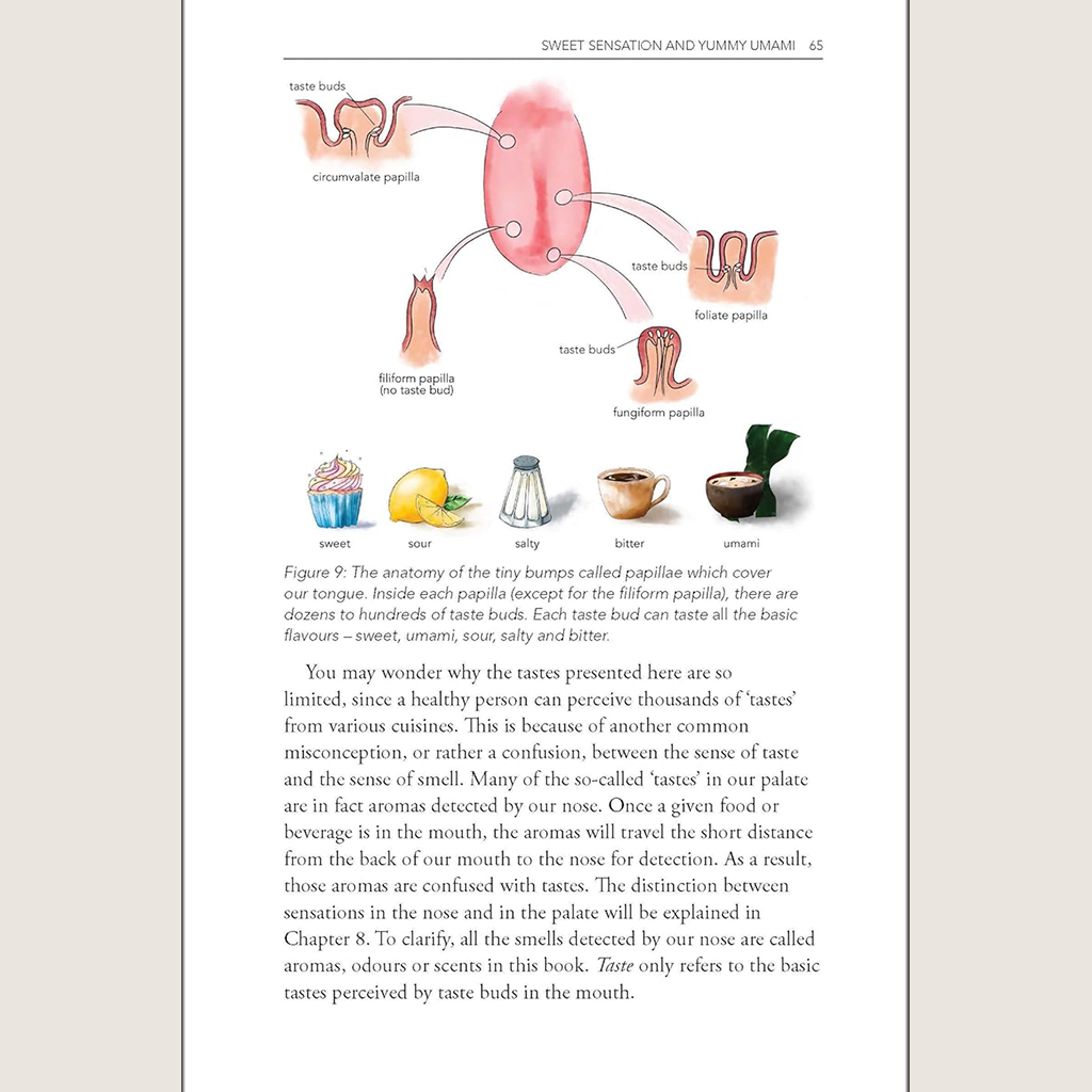 Behind the Glass: The Chemical and Sensorial Terroir of Wine Tasting
