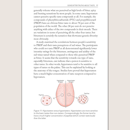 Behind the Glass: The Chemical and Sensorial Terroir of Wine Tasting