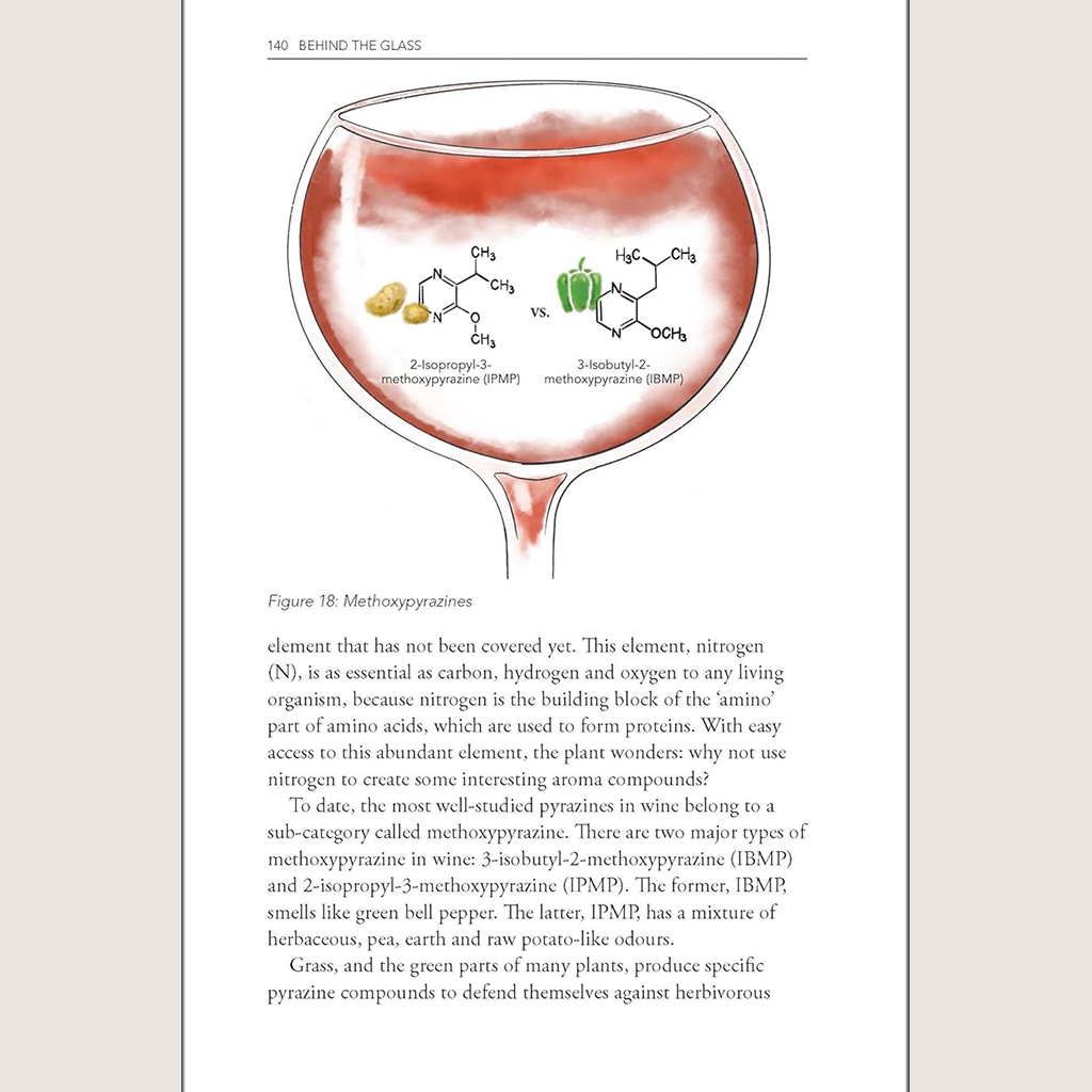 Behind the Glass: The Chemical and Sensorial Terroir of Wine Tasting
