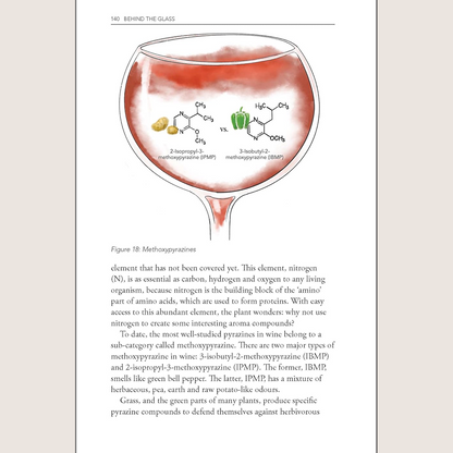 Behind the Glass: The Chemical and Sensorial Terroir of Wine Tasting