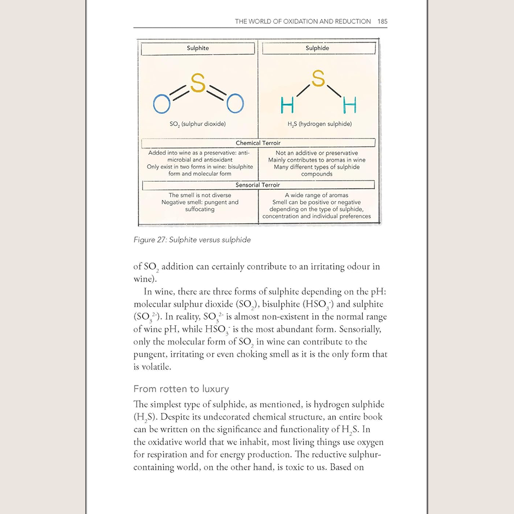 Behind the Glass: The Chemical and Sensorial Terroir of Wine Tasting