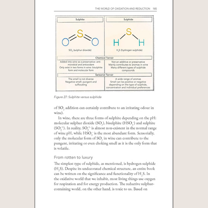 Behind the Glass: The Chemical and Sensorial Terroir of Wine Tasting