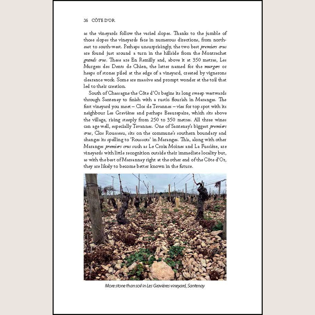 Côte d'Or: The Wines and Winemakers of the Heart of Burgundy