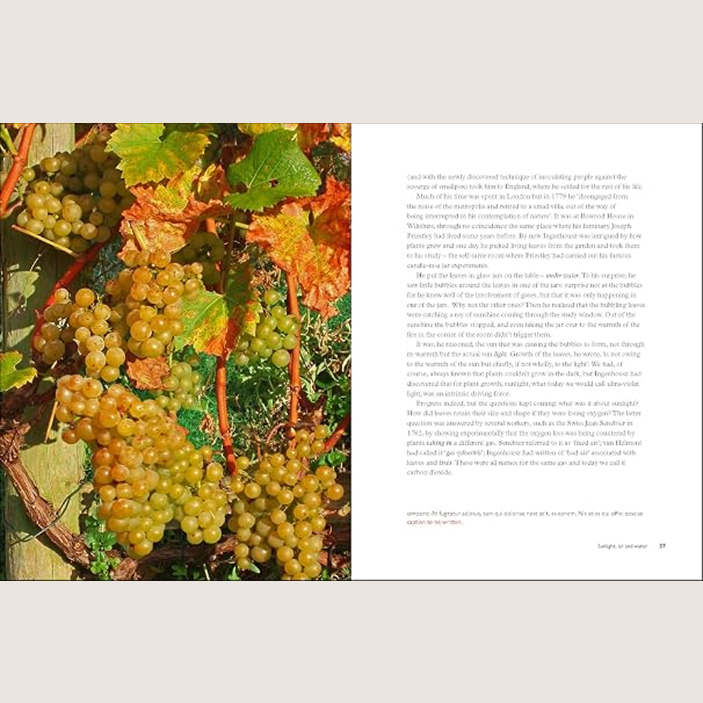 Taste the Limestone, Smell the Slate: A geologist wanders through the world of wine