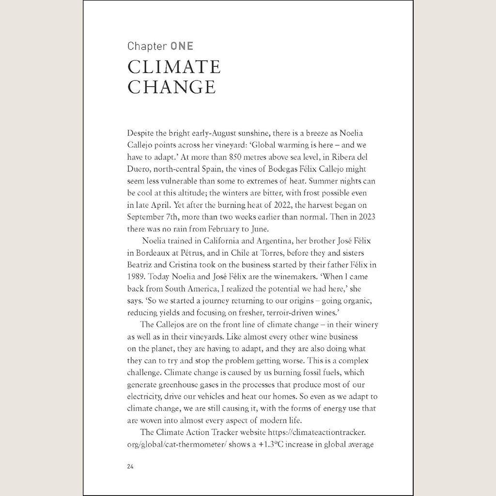 Rooted in Change: The Stories Behind Sustainable Wine