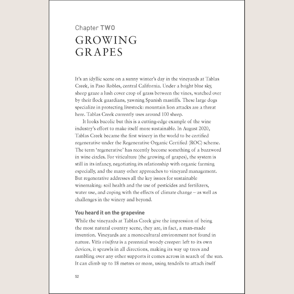 Rooted in Change: The Stories Behind Sustainable Wine