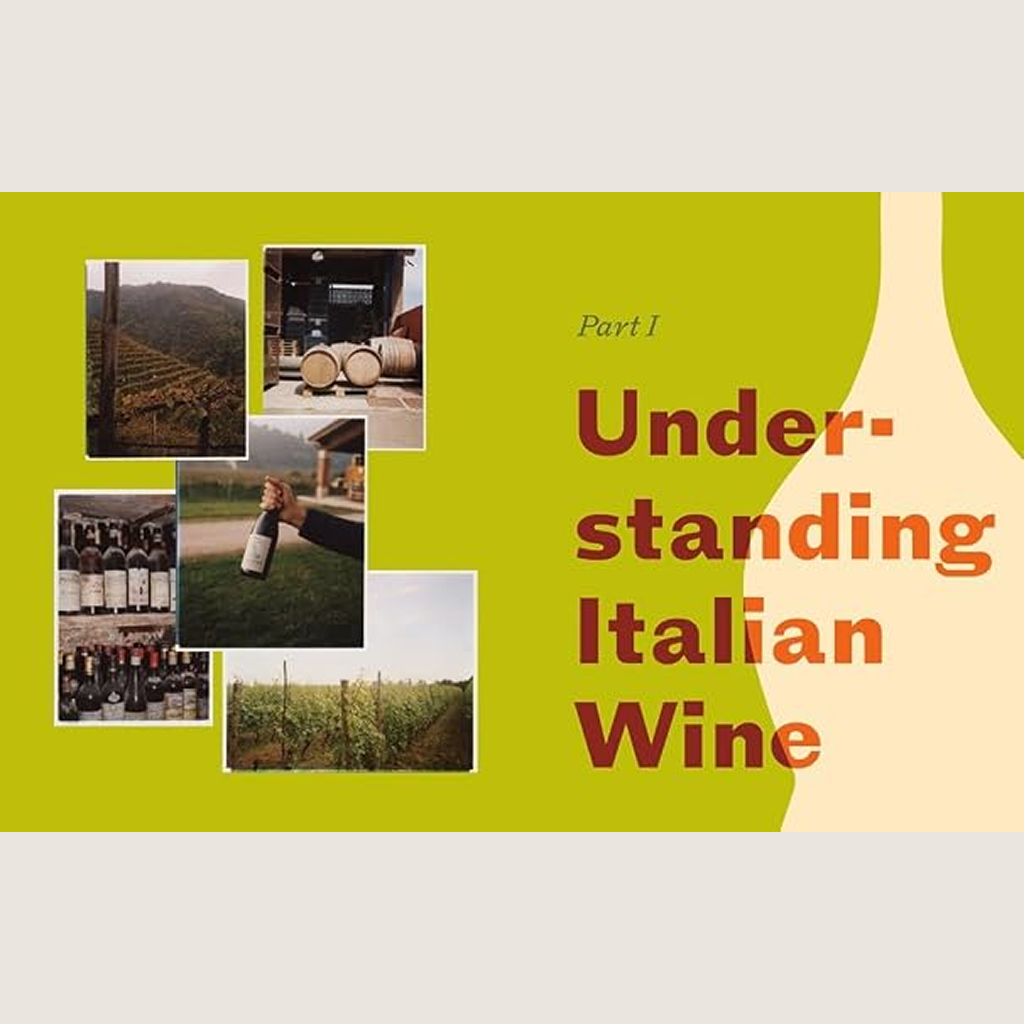 Italian Wine: The History, regions, and grapes of an iconic wine country