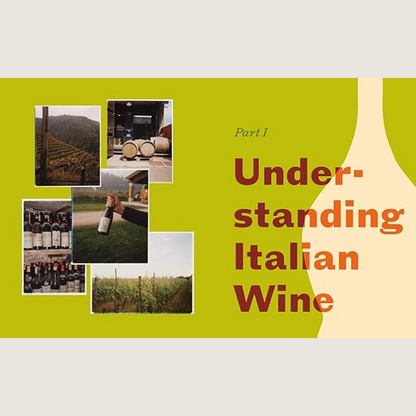 Italian Wine: The History, regions, and grapes of an iconic wine country