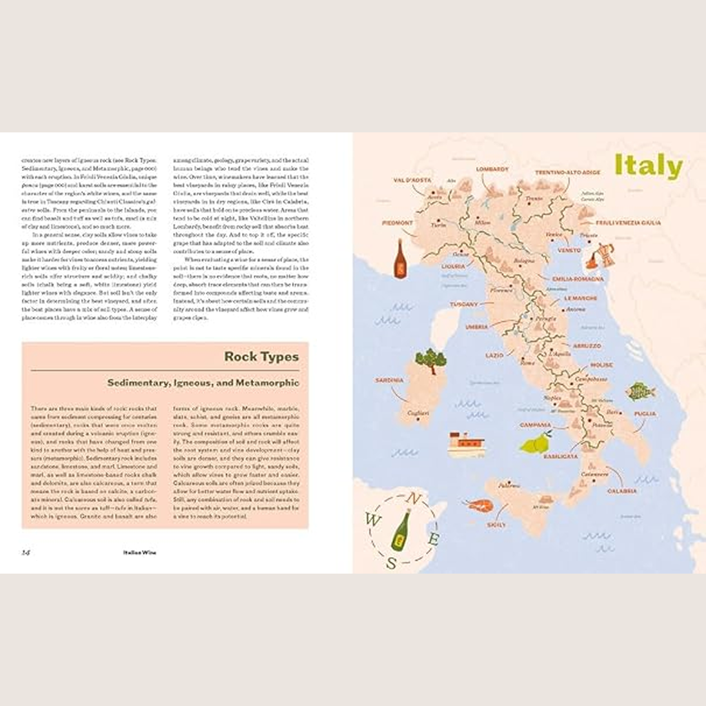Italian Wine: The History, regions, and grapes of an iconic wine country