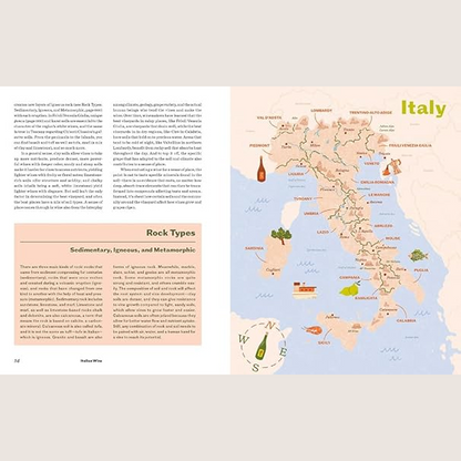 Italian Wine: The History, regions, and grapes of an iconic wine country