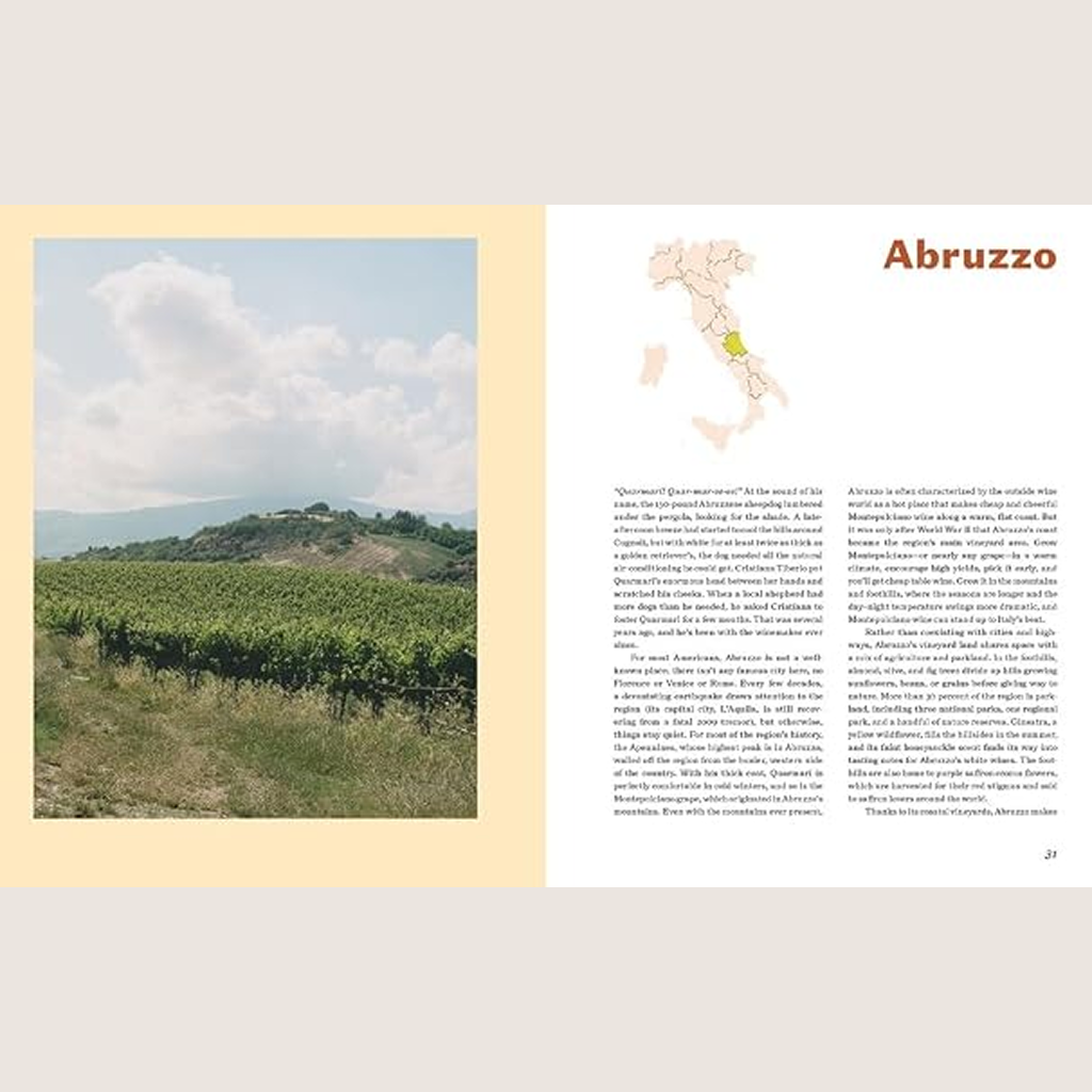 Italian Wine: The History, regions, and grapes of an iconic wine country