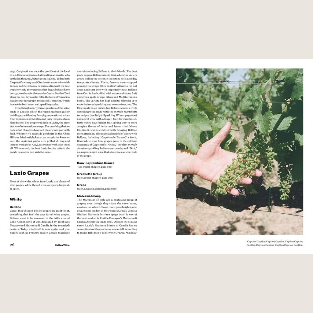 Italian Wine: The History, regions, and grapes of an iconic wine country