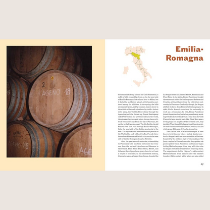 Italian Wine: The History, regions, and grapes of an iconic wine country