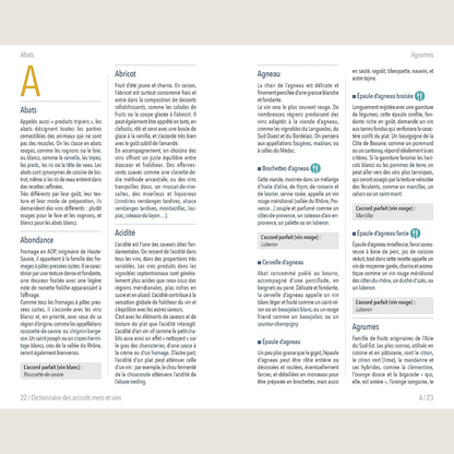 Le petit Dictionnaire Hachette des Accords Mets et Vins