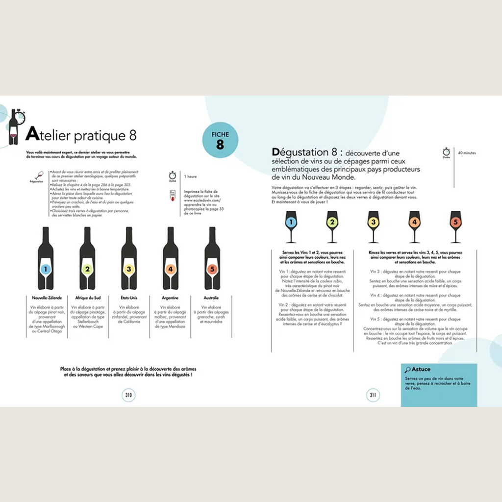 The Great Tasting Course: All about wine in 120 lessons to taste like a wine expert 
