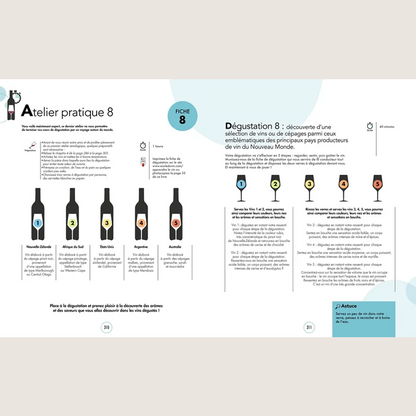 The Great Tasting Course: All about wine in 120 lessons to taste like a wine expert 