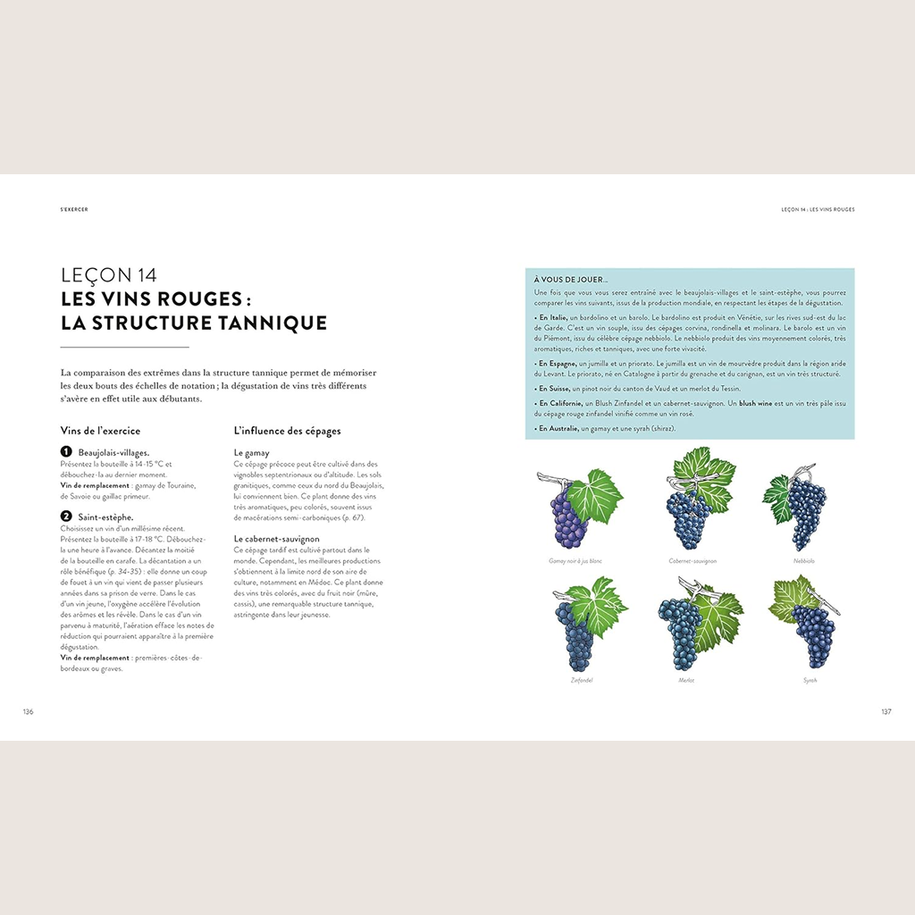 La dégustation en 20 leçons