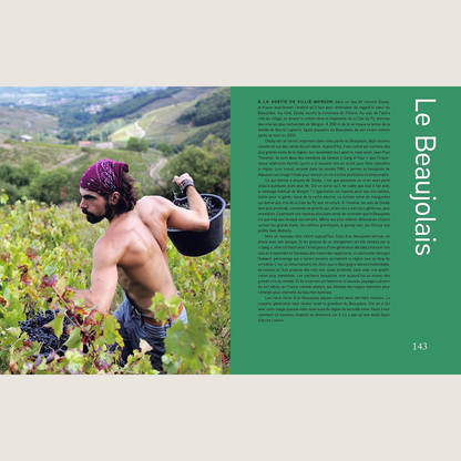 Le nouveau vin français: Redéfinir la plus grande culture viticole du monde