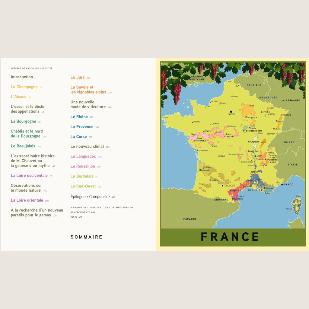 Le nouveau vin français: Redéfinir la plus grande culture viticole du monde