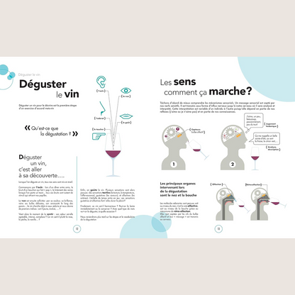 Le grand cours des accords mets et vins : 100 leçons pour réaliser des accords gourmands comme un expert