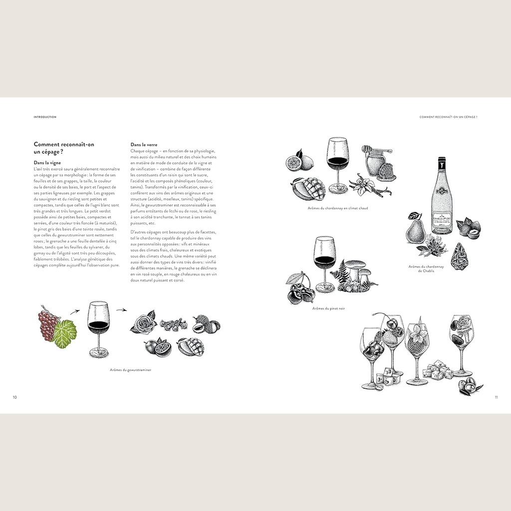 Le vin en 70 cépages