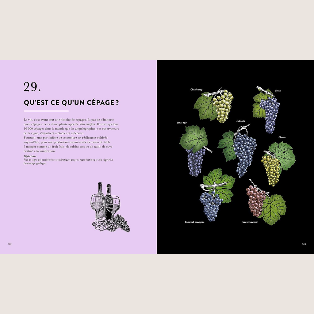 Wine in 50 questions 