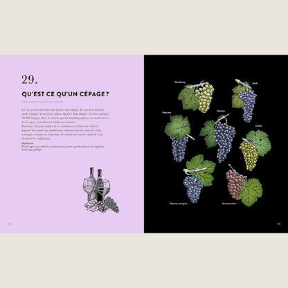 Wine in 50 questions 