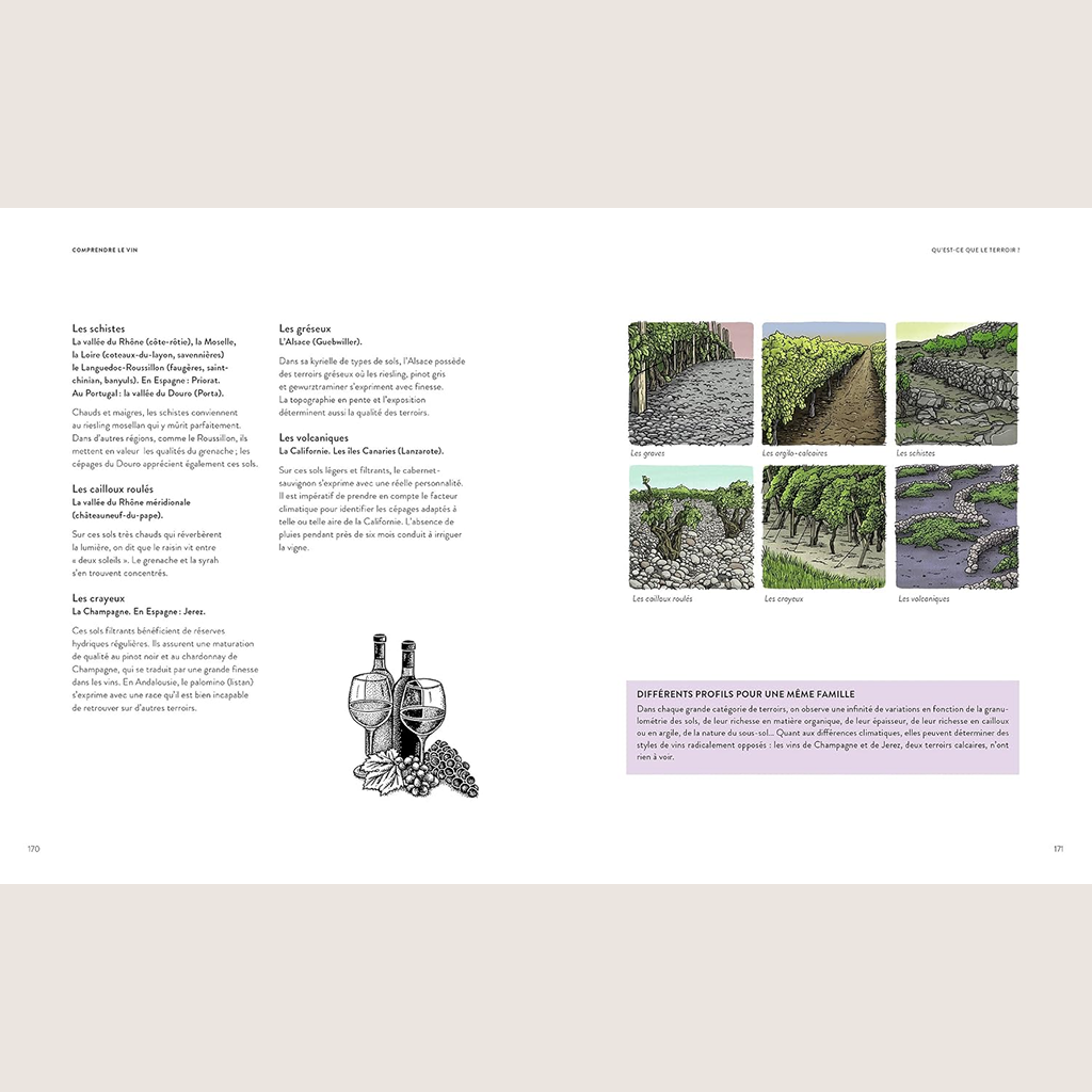 Wine in 50 questions 