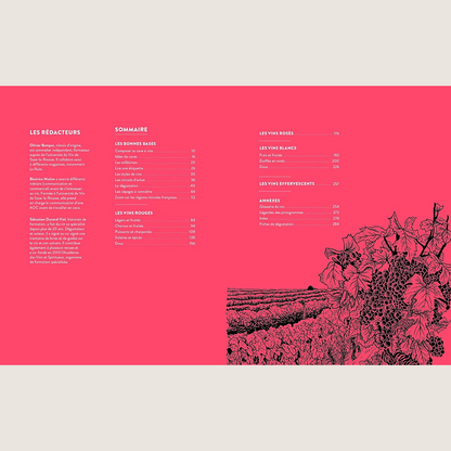 The cellar with 300 wines 