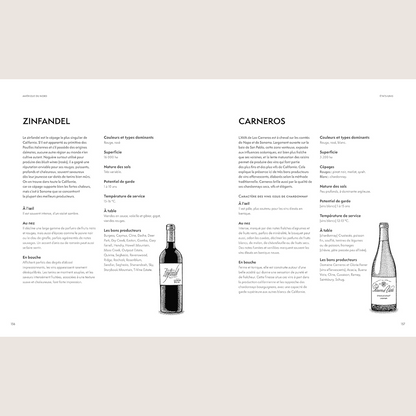 Around the world in 100 wines 