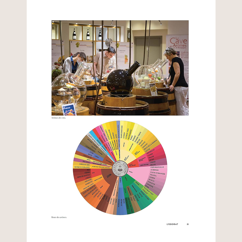 The taste of wine: The great book of tasting 5th edition 2022 