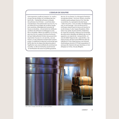 The taste of wine: The great book of tasting 5th edition 2022 