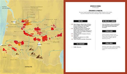 Le Vin par Antoine Pétrus