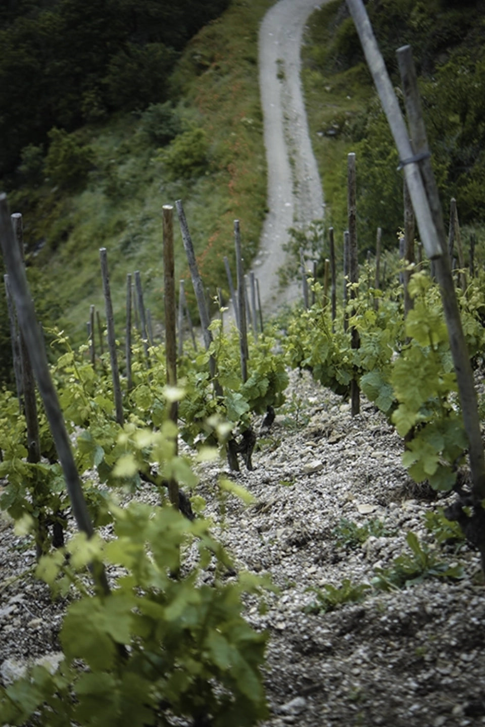Clos Florentin