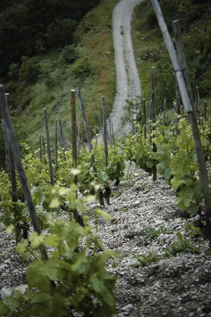 Clos Florentin