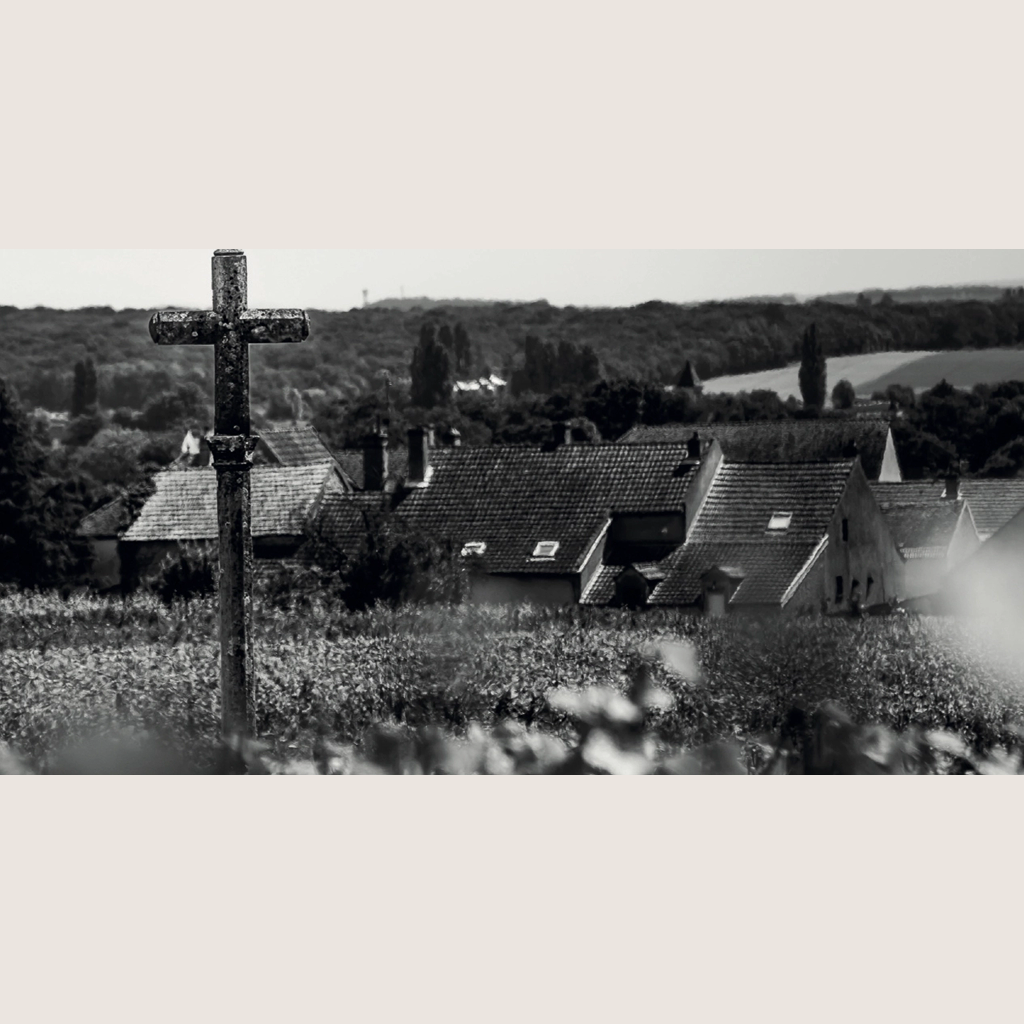 Romanée-Conti, la Recherche