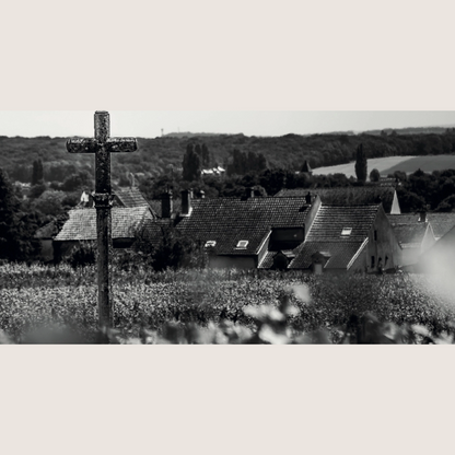 Romanée-Conti, la Recherche