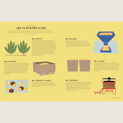 Le cidre c'est pas sorcier : petites leçons illustrées pour les amateurs