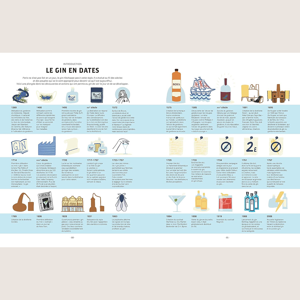 Le gin c'est pas sorcier : petites leçons illustrées pour les amateurs