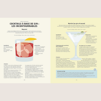 Le gin c'est pas sorcier : petites leçons illustrées pour les amateurs