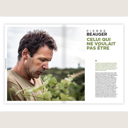 Entre les vignes #2: avec les vignerons d'Auvergne