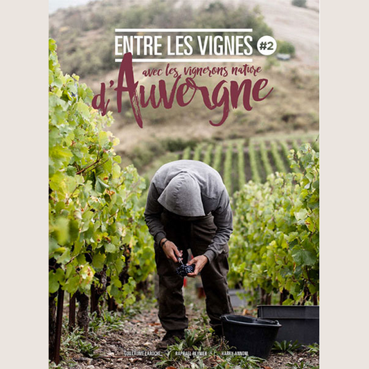 Entre les vignes #2: avec les vignerons d'Auvergne