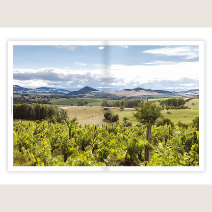Entre les vignes #2: avec les vignerons d'Auvergne